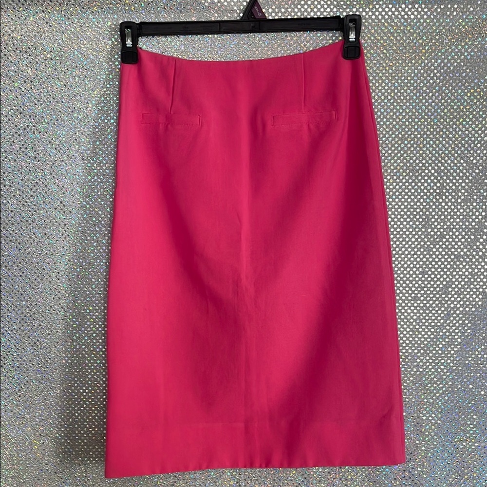 Elegant Pink Women's Skirt